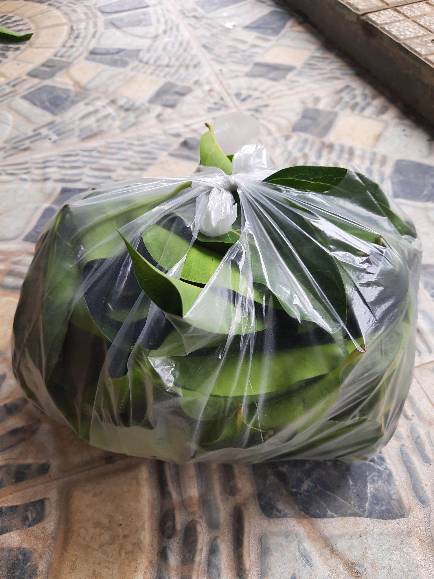 Lá nhàu tươi - gói 1kg