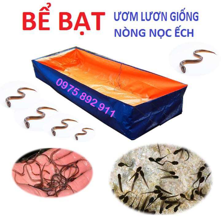 Bể bạt nuôi ốc ếch cá lươn xanh cam - 4x2x0,5