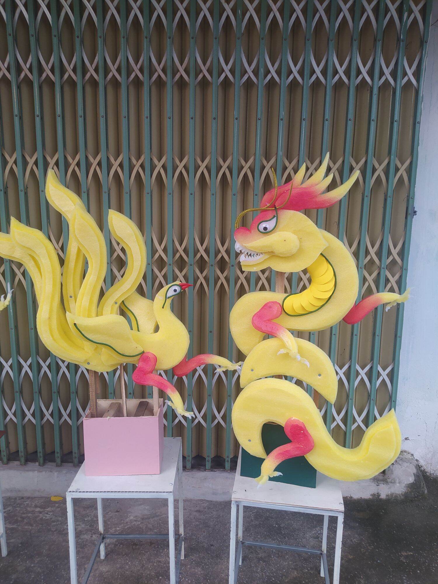 cốt rồng phượng 5 đuôi