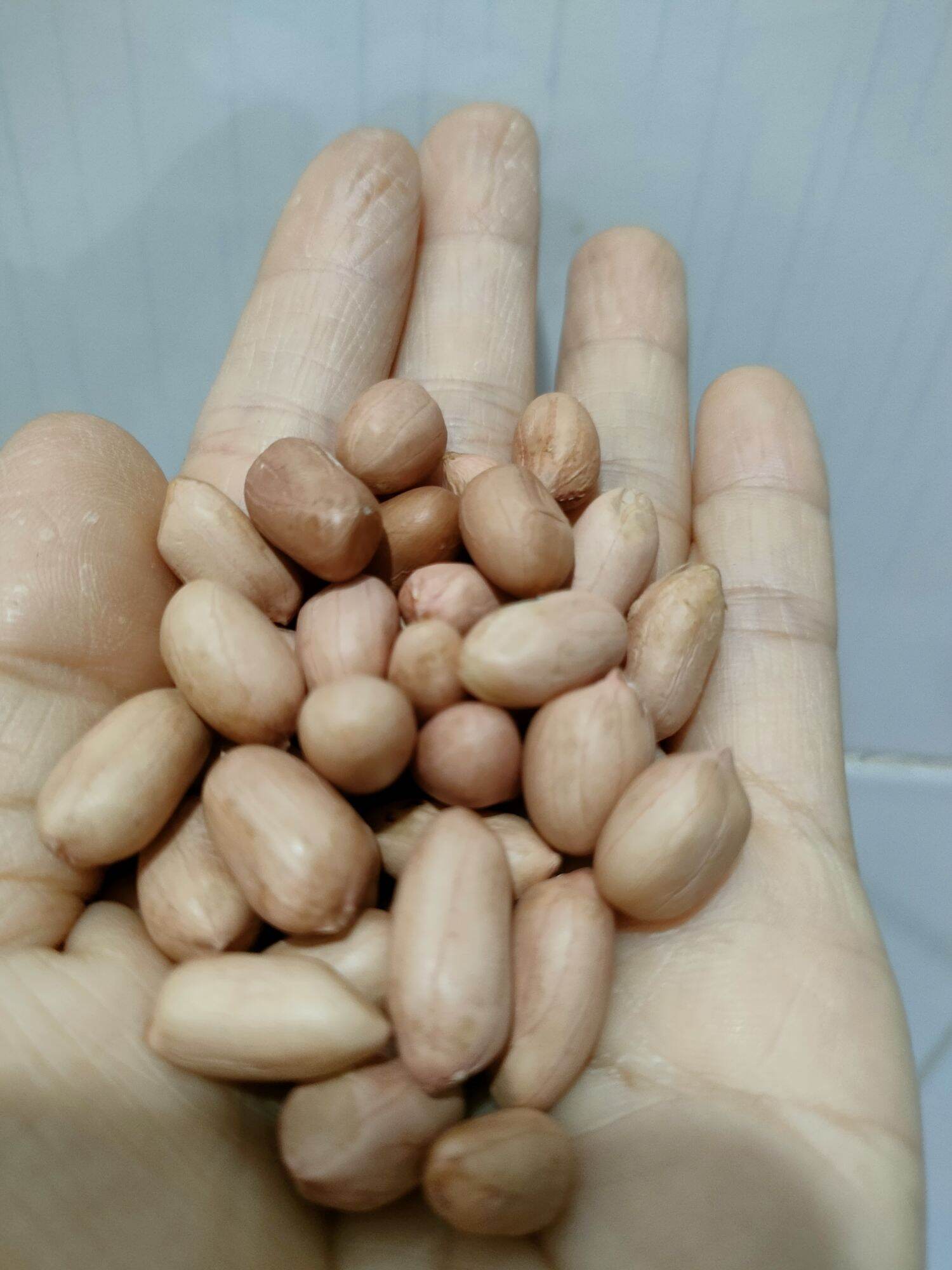Đậu phụng đăklăk 1kg