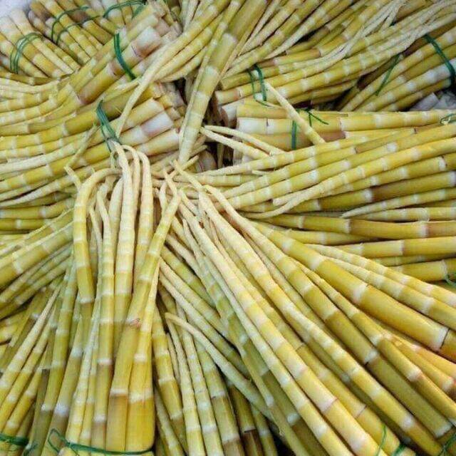 Măng trúc, măng ớt siêu ngon 1kg