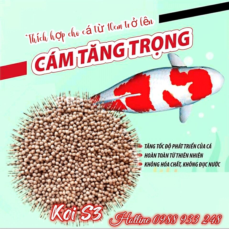 Cám KOI STELLA S3 (3mm)cho cá Koi, cá Cảnh/ 1KG