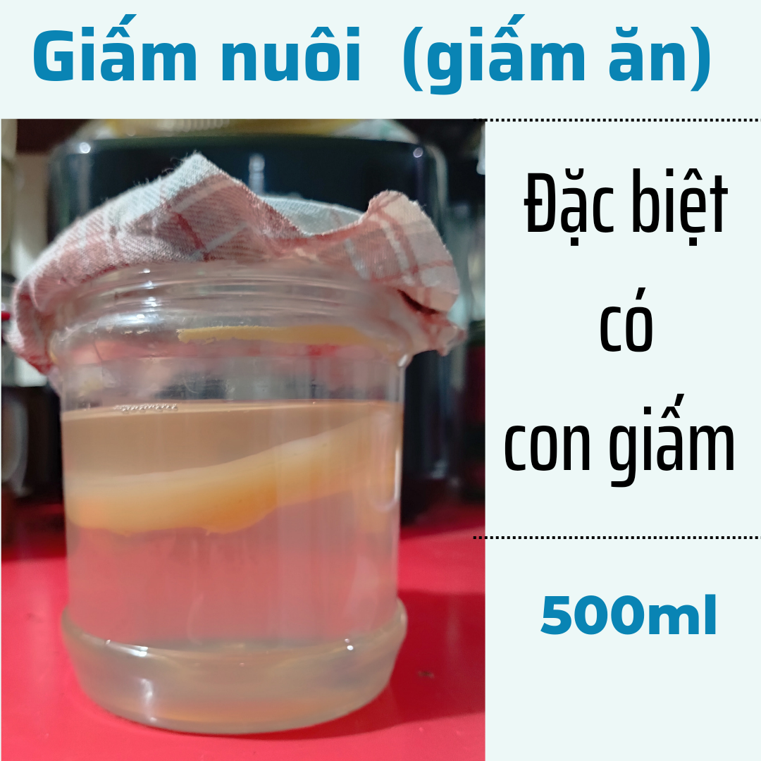 500ml giấm nuôi kèm con giấm