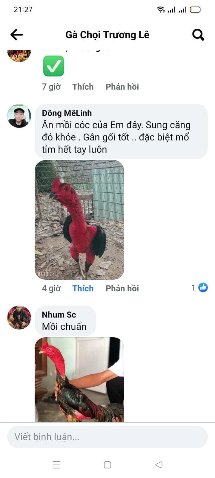 MỒI CÓC TRƯƠNG LÊ