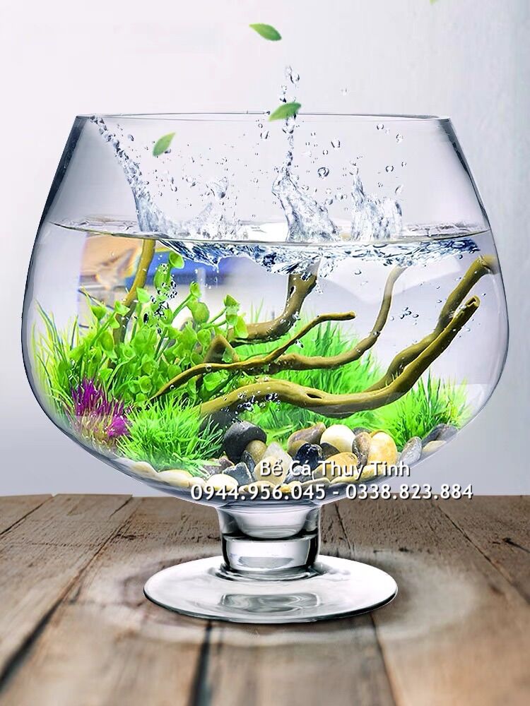 Bể cá thủy tinh hình chiếc ly, bể trồng thủy sinh dáng ly
