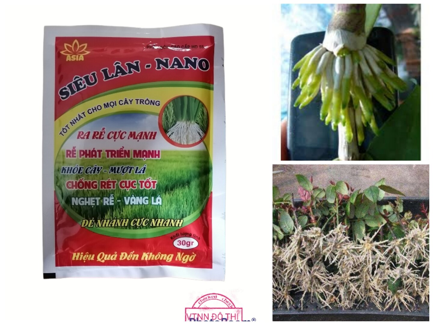 Siêu lân đỏ nano - Siêu ra rễ, đẻ nhánh cho tất cả cây trồng - Ra rễ mạnh, giải độc đất phèn, vàng lá sinh lý, nghẹt rễ gói 30gr tiện lợi