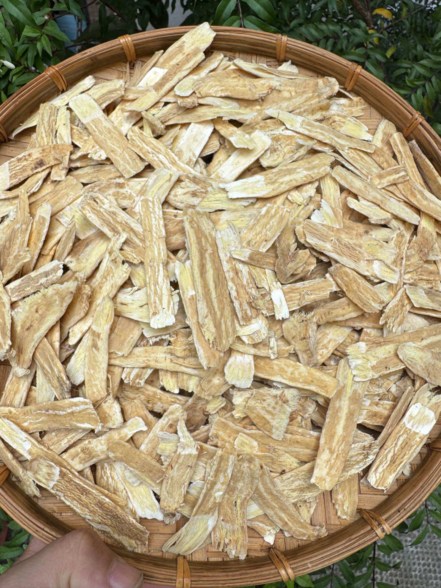 [HCM] Hoàng Kỳ -Bắc Kỳ hữu cơ thái lát -100gram