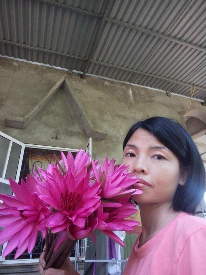 8 củ hoa súng đà lạt trồng chậu