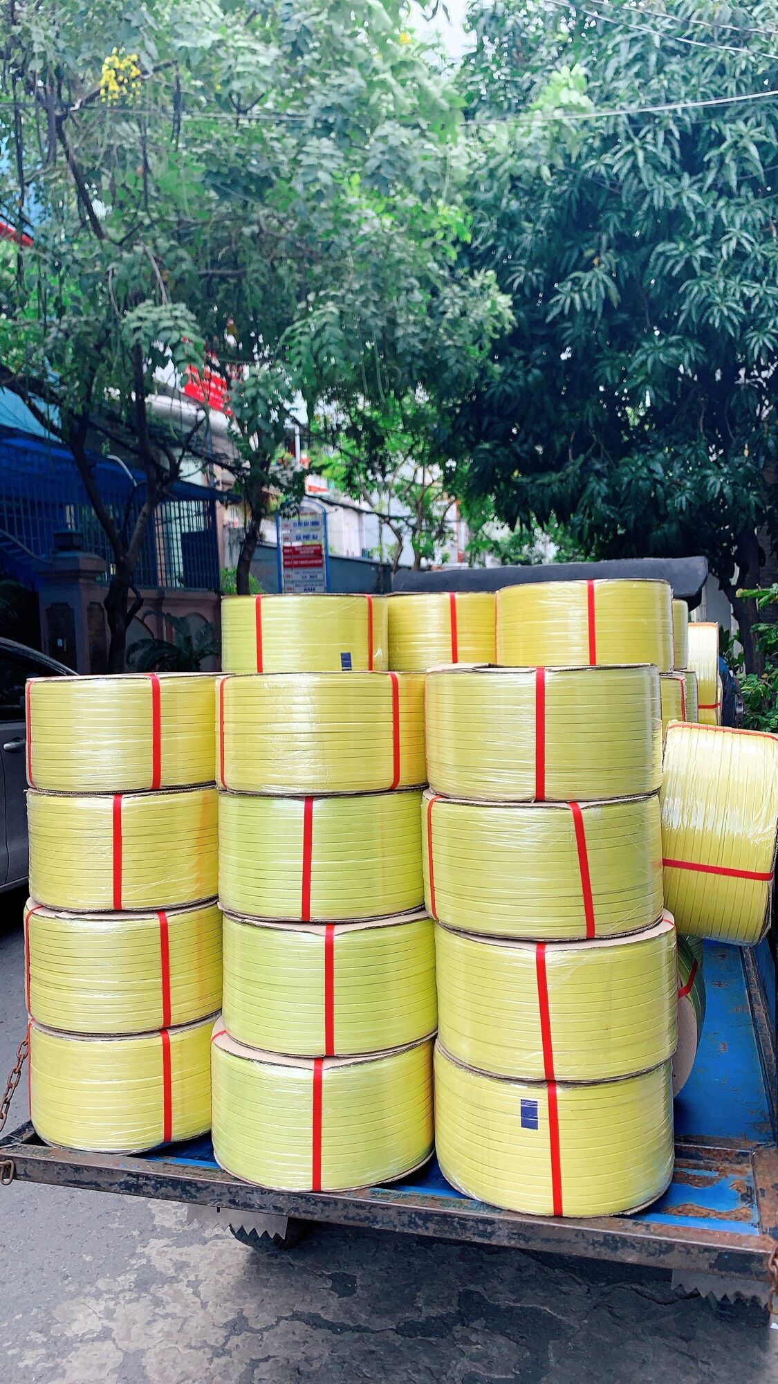Dây đai nhựa PP cuộn