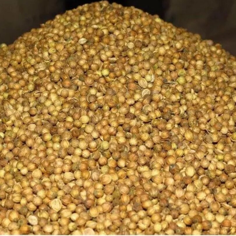 100g hạt mùi (ngò) khô loại ta giống cũ thơm