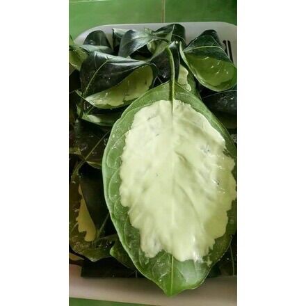 100gram lá mít tươi miền tây