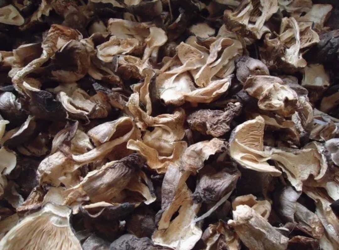 1kg nấm rơm khô - ngon ngọt loại 1