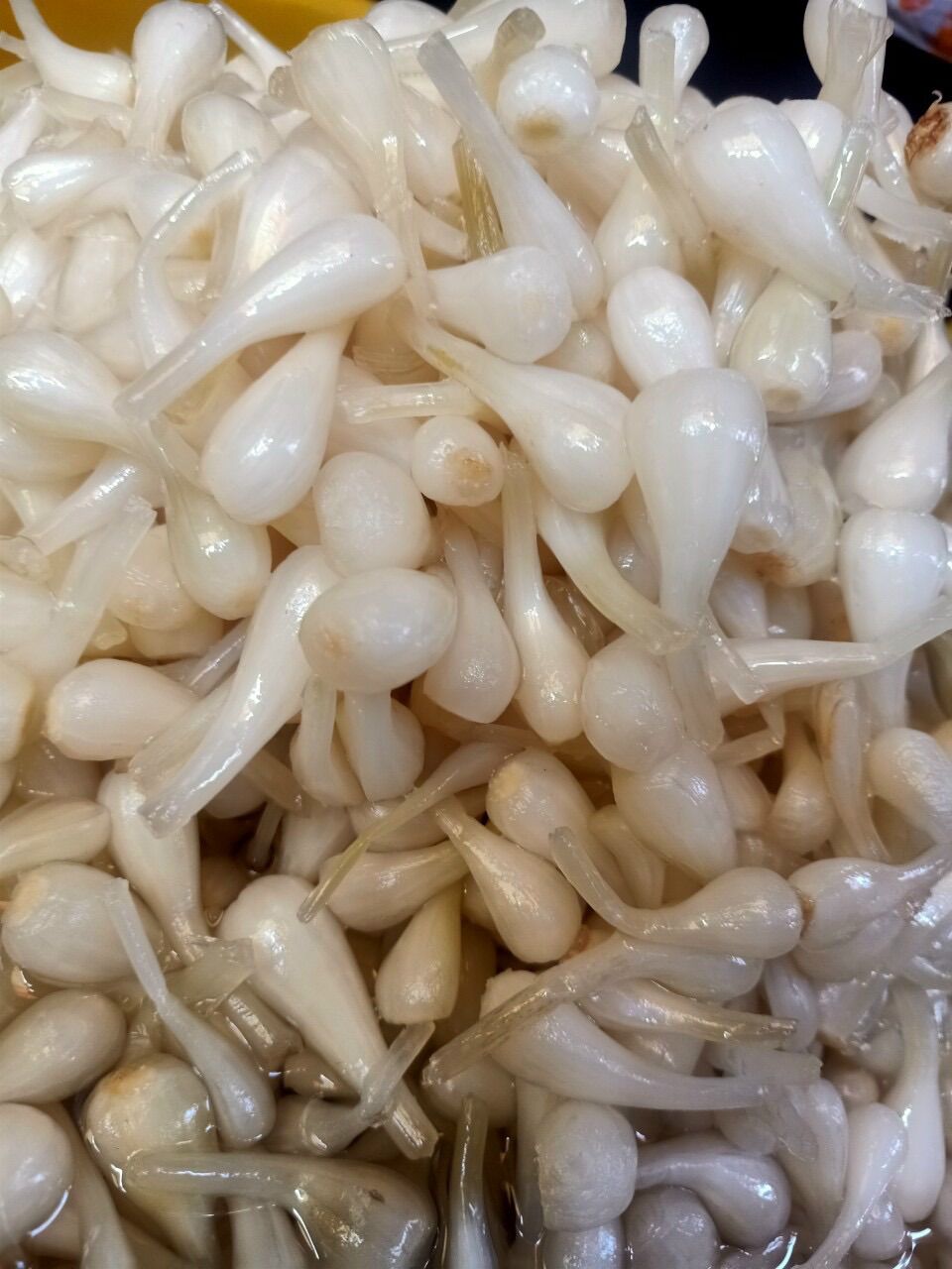 500gr Củ Kiệu Ngâm Chua Ngọt Làm Nhà