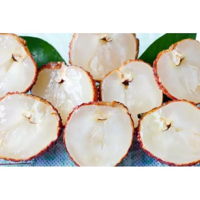 Cây giống vải không hạt