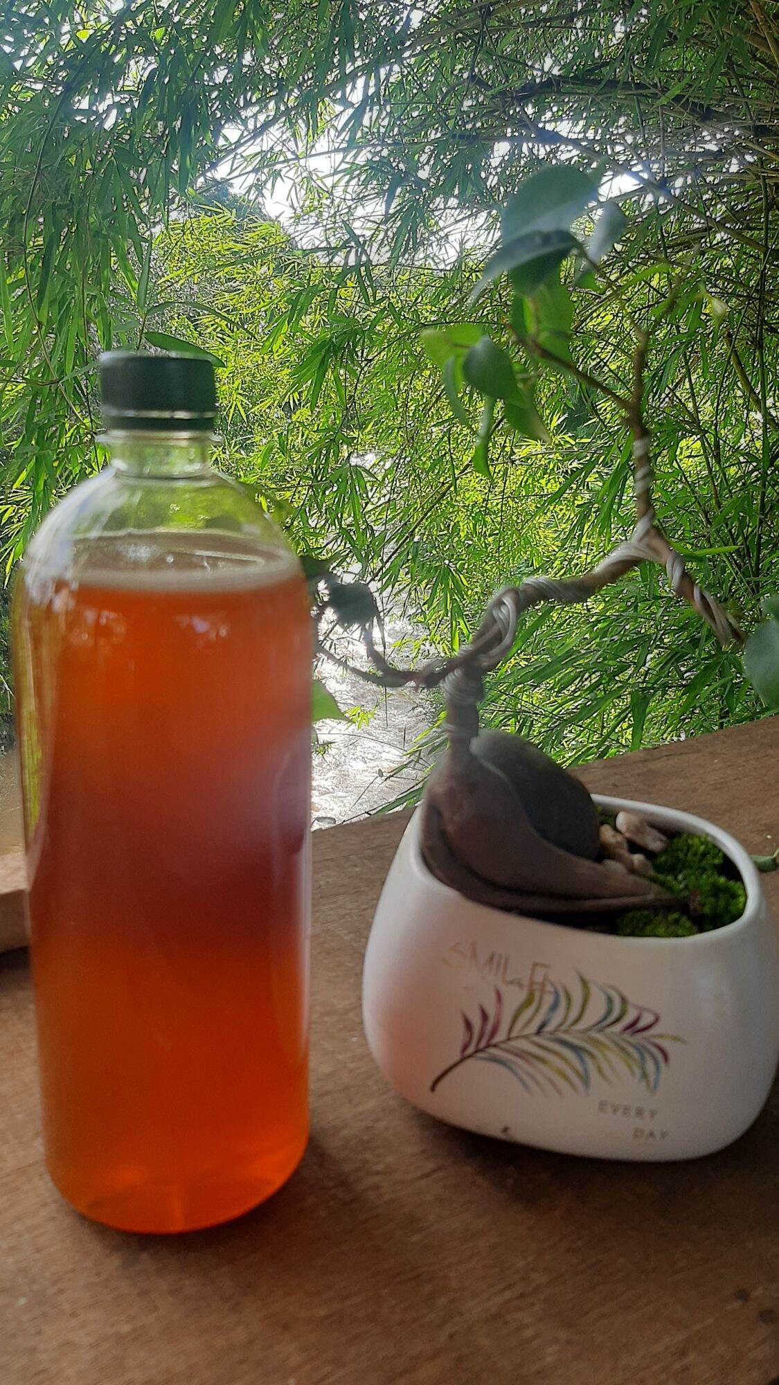 500ml mật ong rừng tự nhiên