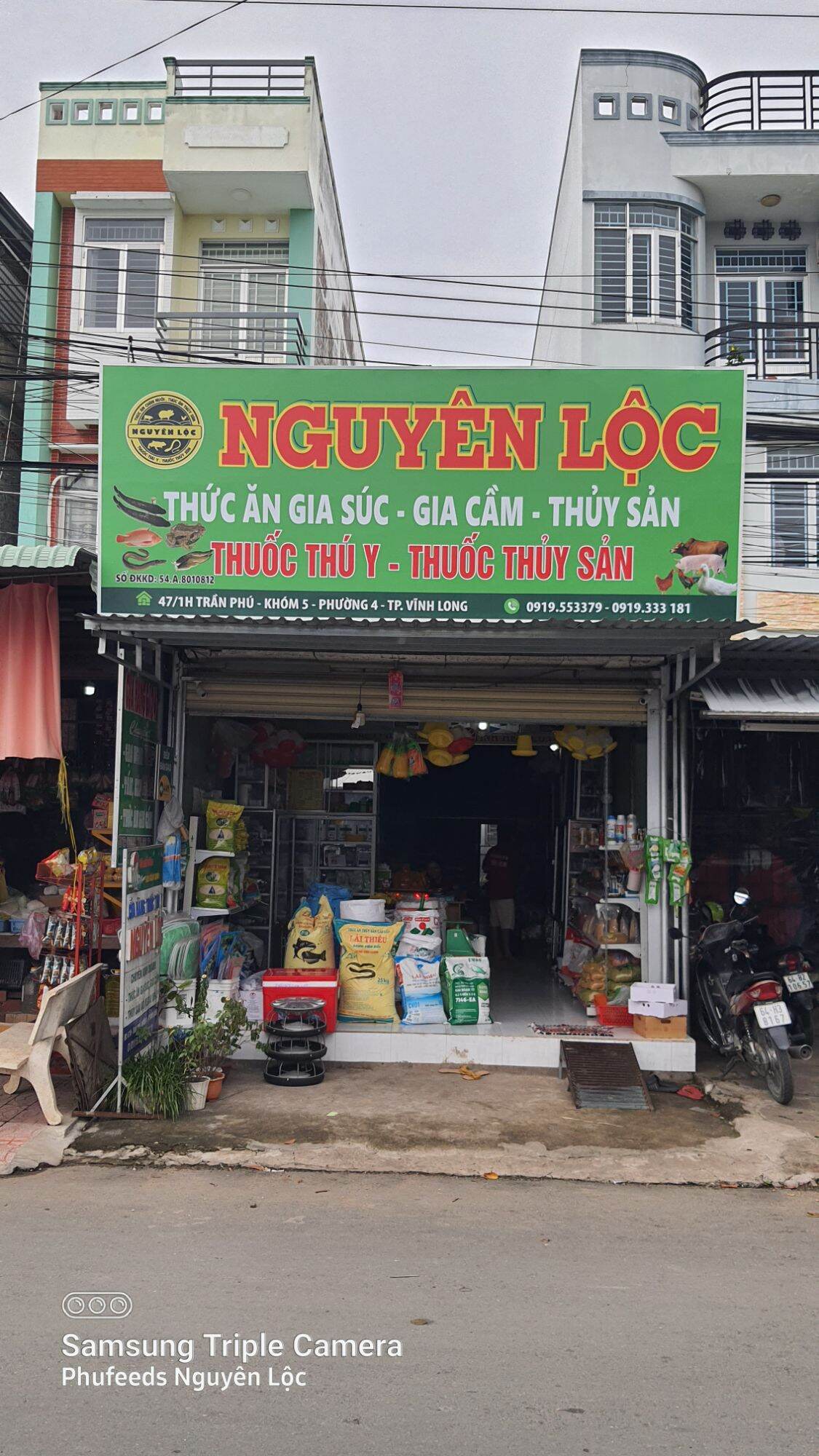 A31 tri bệnh cho lươn, cá, ếch.  Mua 10 tặng 1