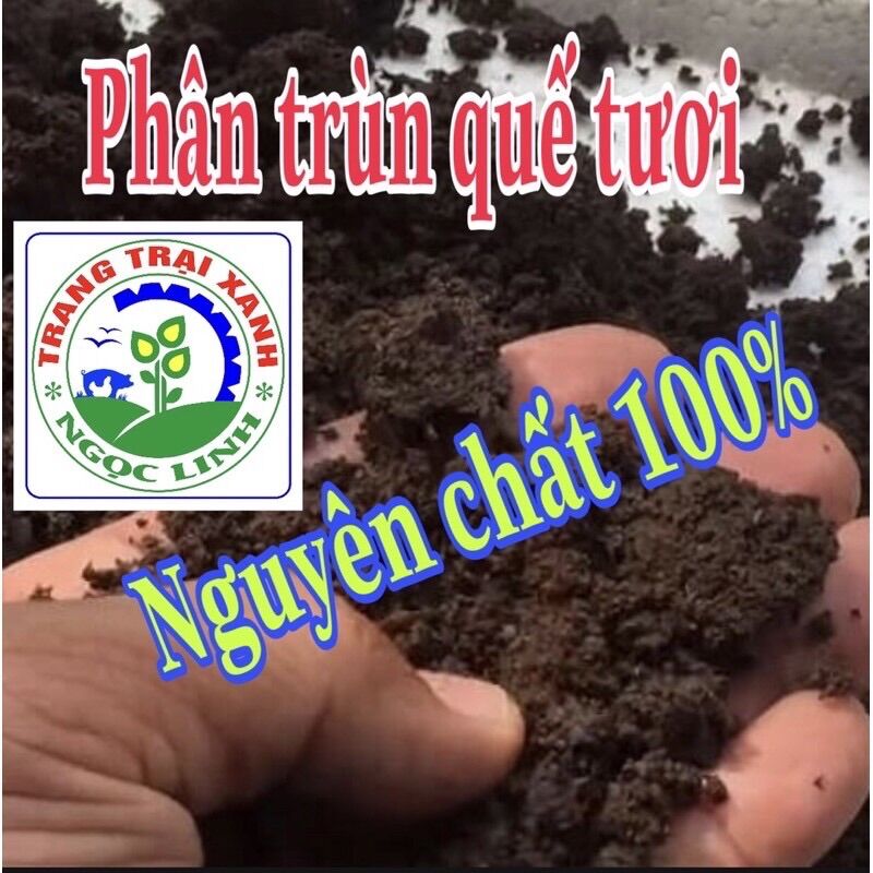 5kg Phân trùn quế tươi, nguyên chất 100%