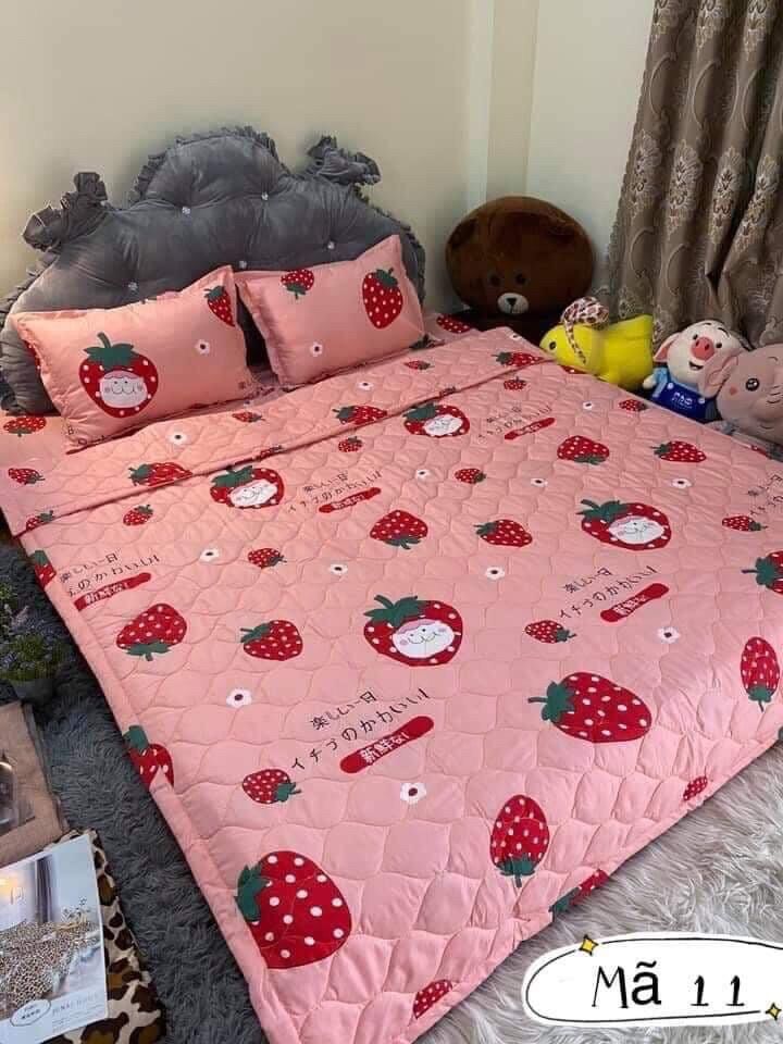 Bộ chăn ga gối 4 - 5 món trái dâu tây màu hồng dễ thương m6, m8 cotton poly