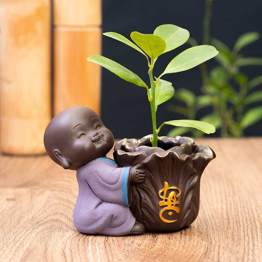 Bộ 5 tượng chú tiểu bên chậu gốm