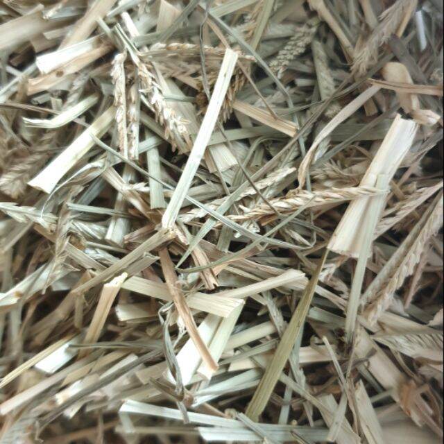 1kg cỏ mần trầu khô hàng loại 1.
