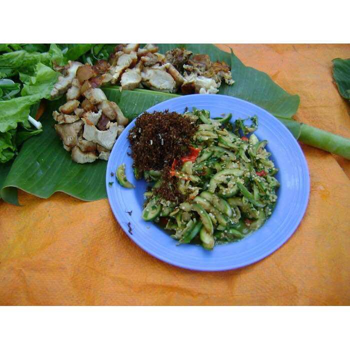 1 Gram Hạt Giống Cà Phổi Sọc Lem Dễ Trồng