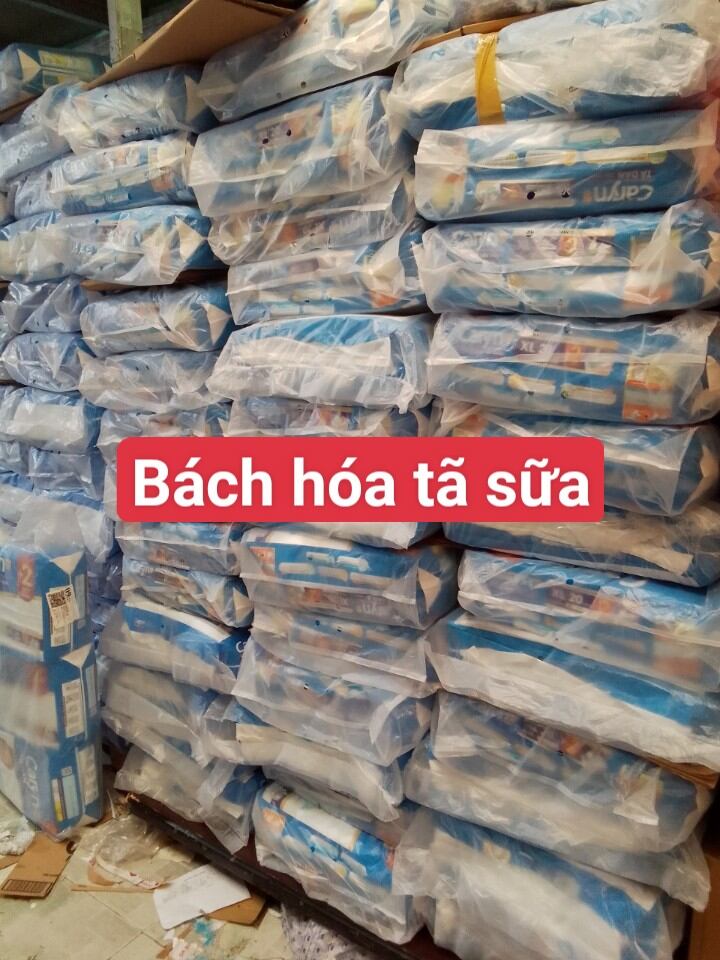 Tả dán người lớn Caryn size L 20 miếng (Vòng hông 68-122cm)