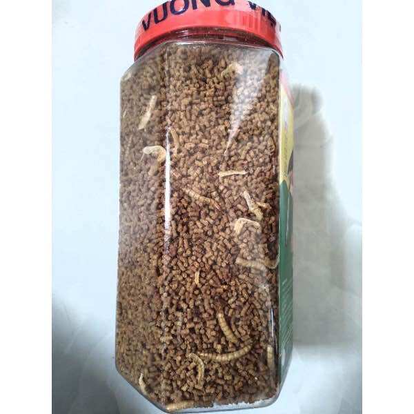 Cám dành chim chòe lửa, chòe than Vương Việt Anh ( 500g)