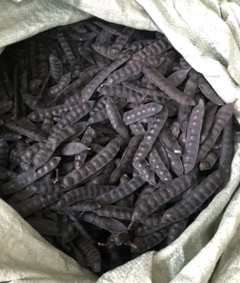 TRÁI BỒ KẾT KHÔ 100 GR