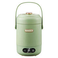 ROYADULEX | Nồi Hầm Di Động Mini 0.8L