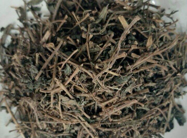 Cây thuố-c dòi khô - 500g