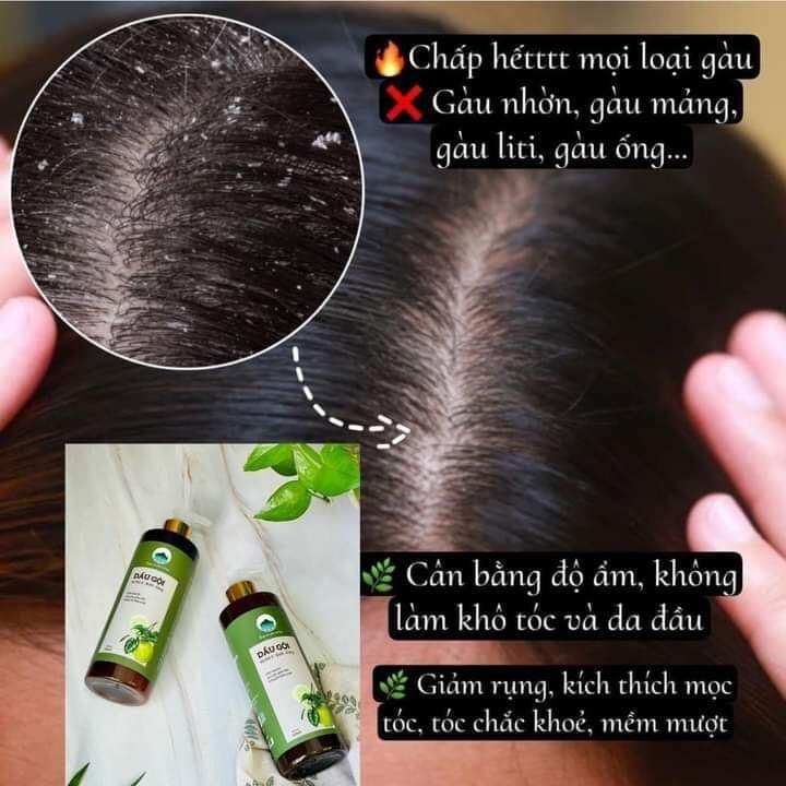 Dầu gội Hà Thủ Ô-Bưởi - Gừng