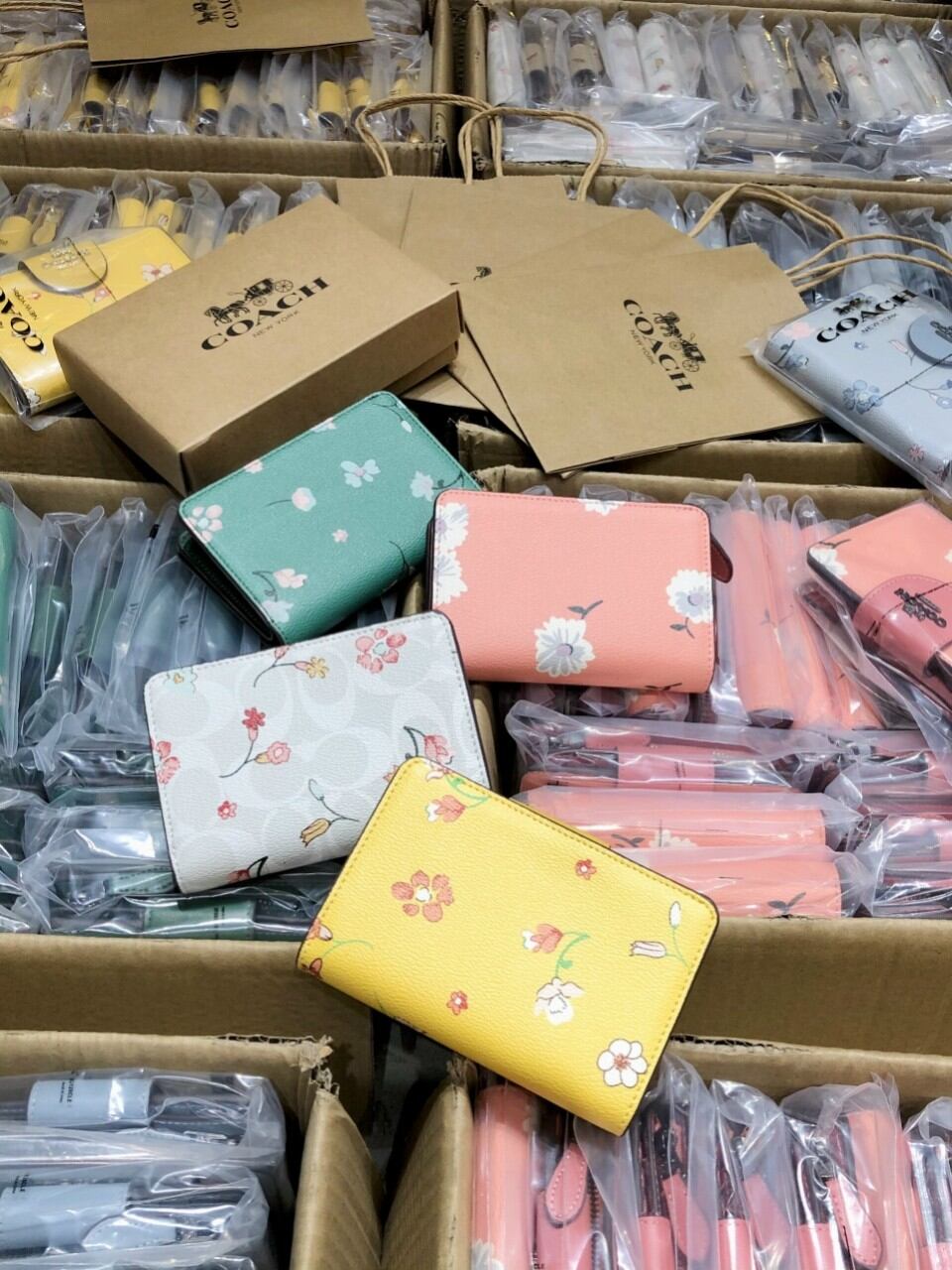 VÍ COAC*H GÀI MEDIUM CORNER ZIP SIÊU XINH