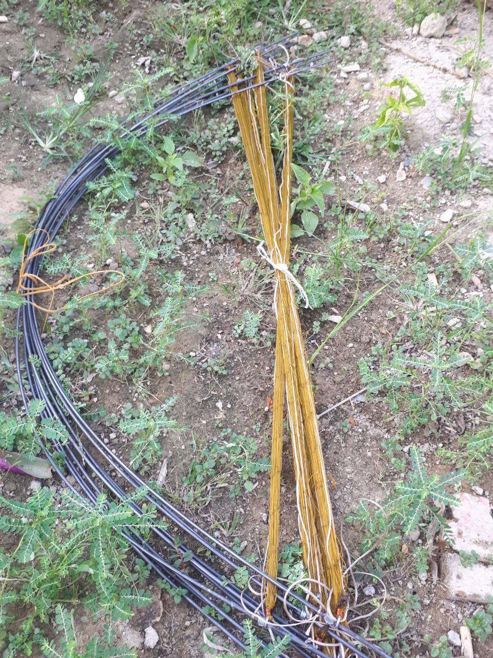 5c Cung bẫy sóc, chuột, chim quốc, đa đa.