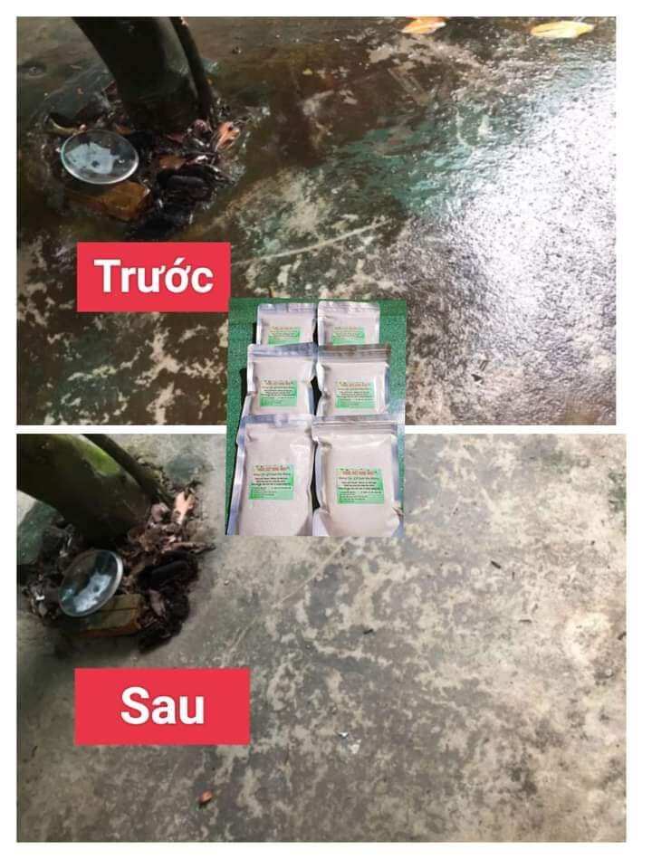 Bột tẩy rong trên nền xi măng
