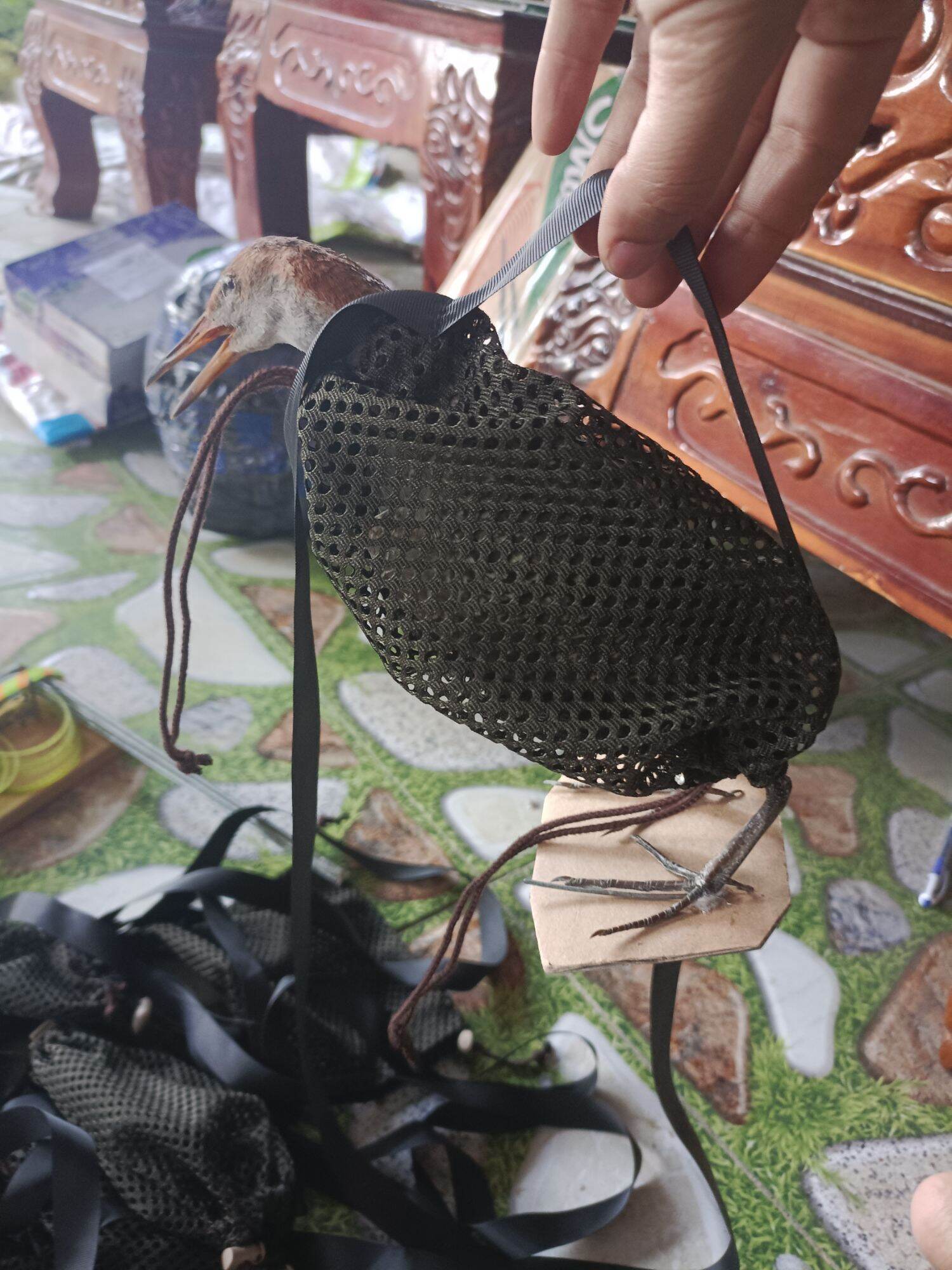 10 túi bổi đựng quốc.bìm bịp.chằng nghịch.quốc hoa