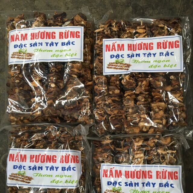 500 gr Nấm Hương Tây Bắc