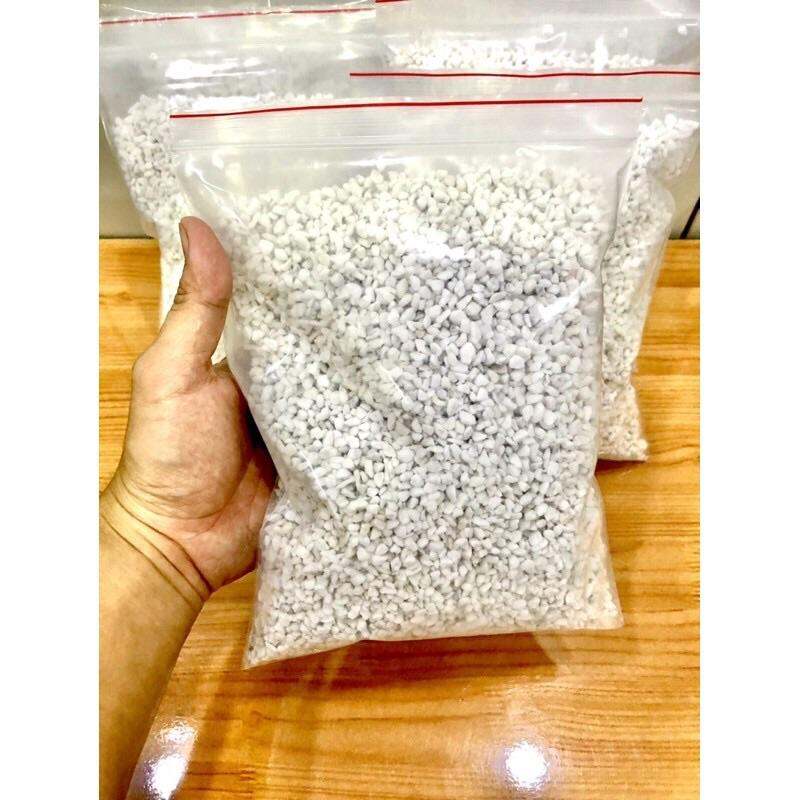 Đất ấp trứng cho bò sát [Hoả Tốc Giao Hàng 2 Giờ ]