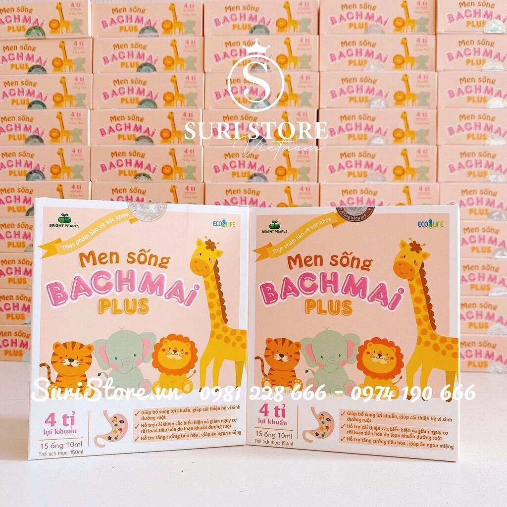 Men sống bạch mai plus