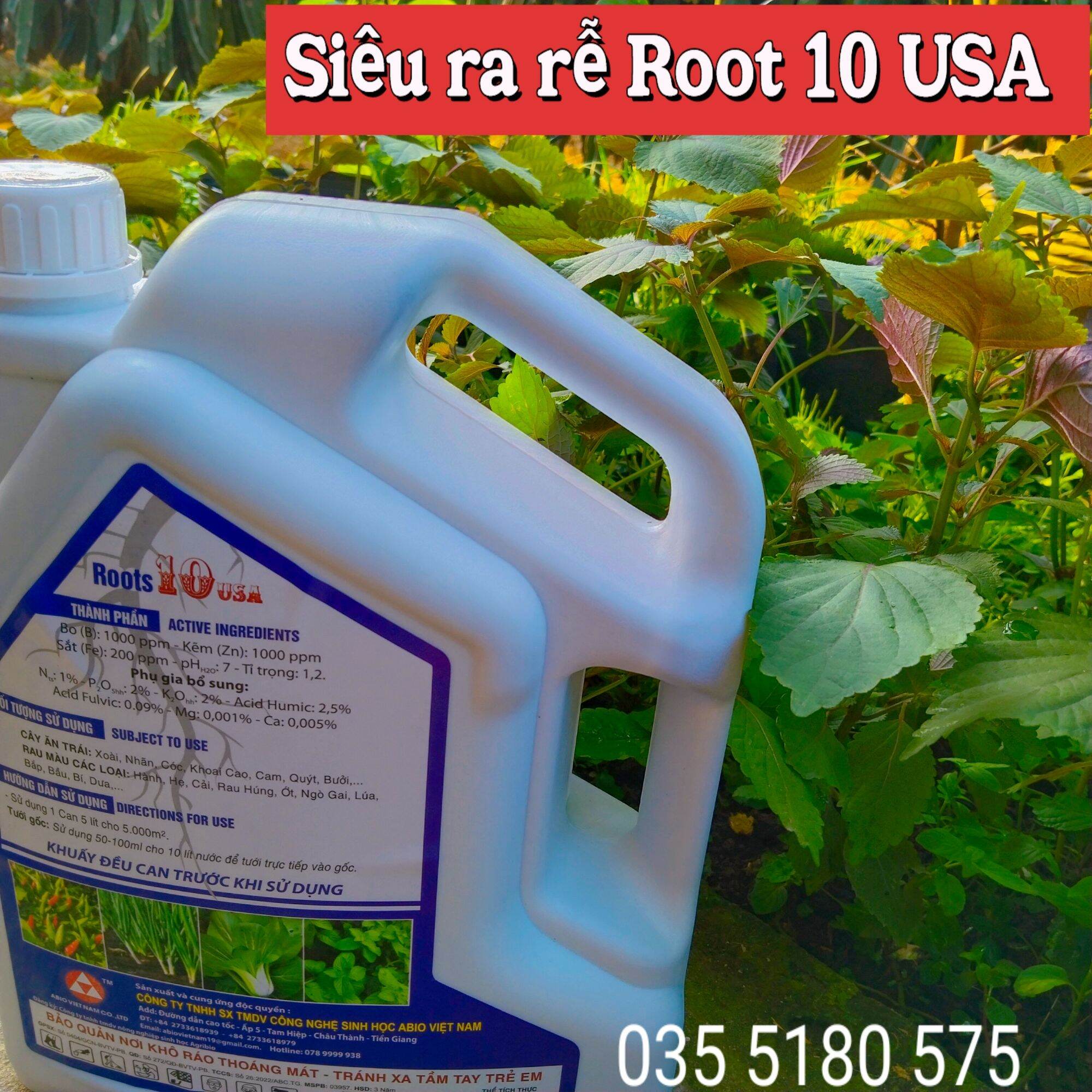 Siêu ra rễ Root 10 USA - Can 5 lít