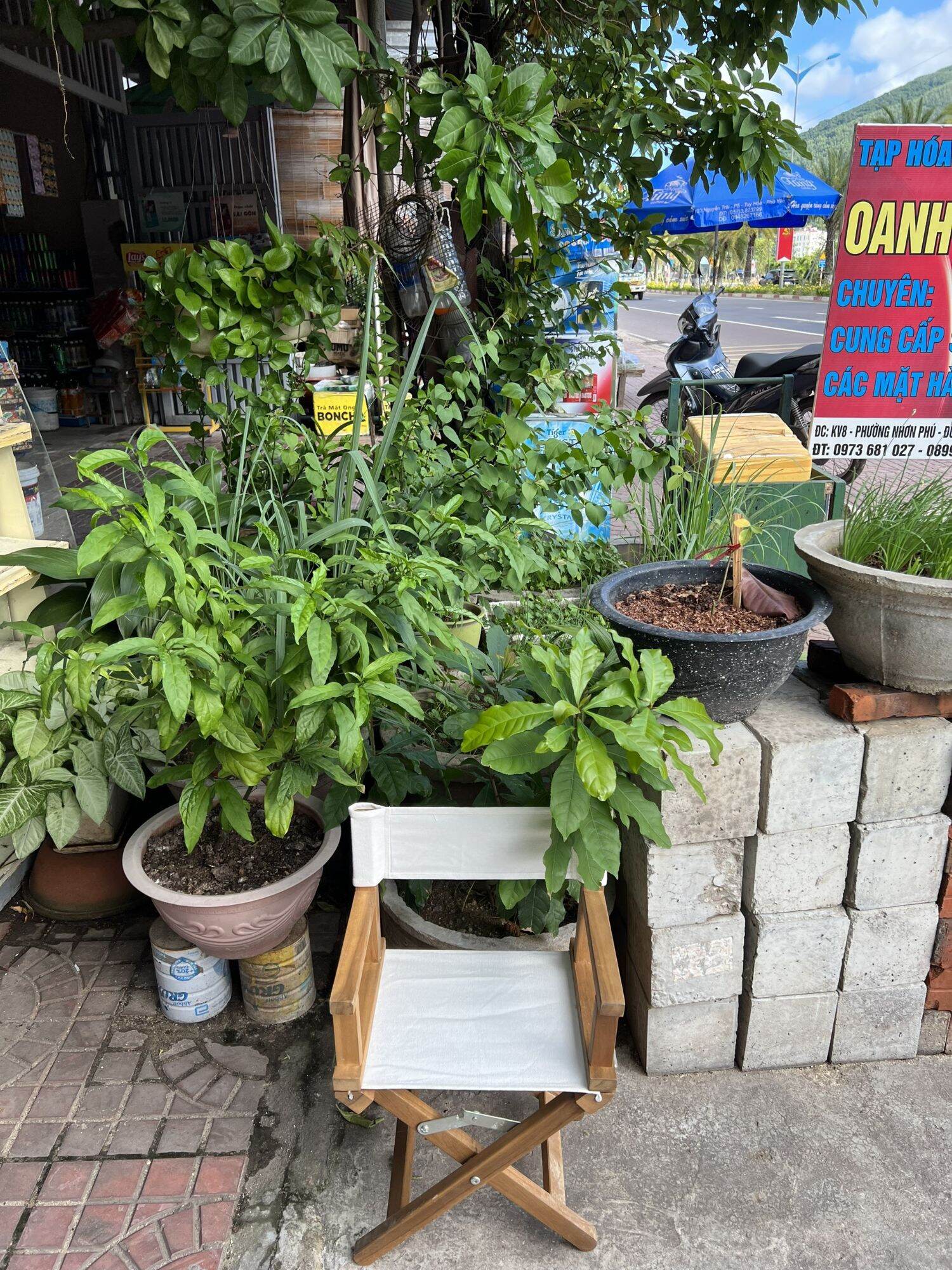 Ghế xếp mini, ghế câu cá, ghế trẻ em