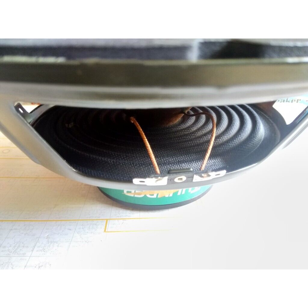 Cặp loa bass 30cm liên doanh cao cấp Thunder (2 loa)