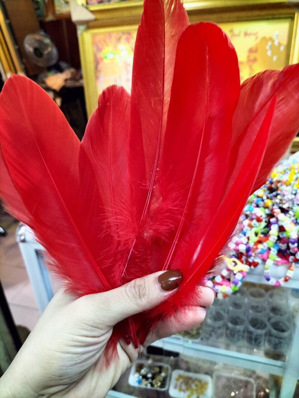 Lông gà nhân tạo trang trí làm handmade 10 cái