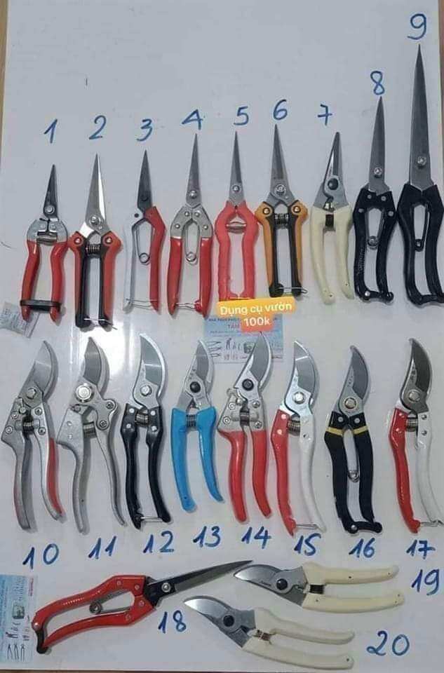 Kéo tỉa, kéo cắt 100k tùy chọn