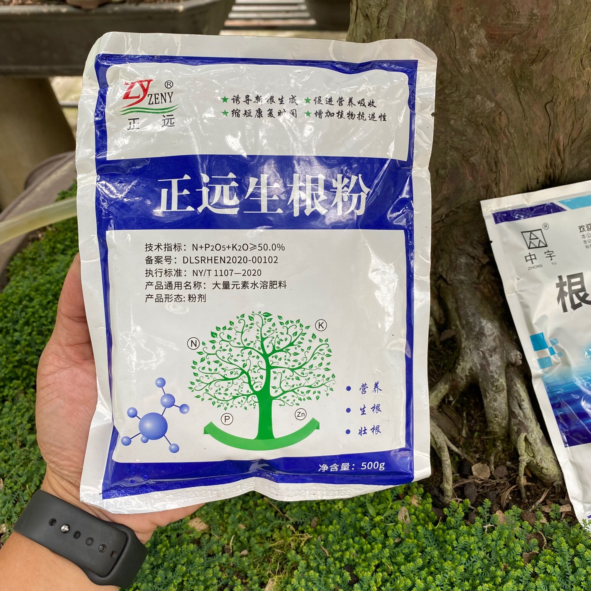 Bột kích rễ và chống thối rễ combo 2 gói