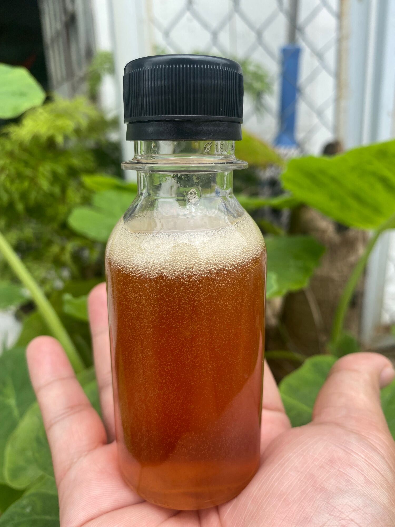 Mật Ong rừng tự nhiên 90ml