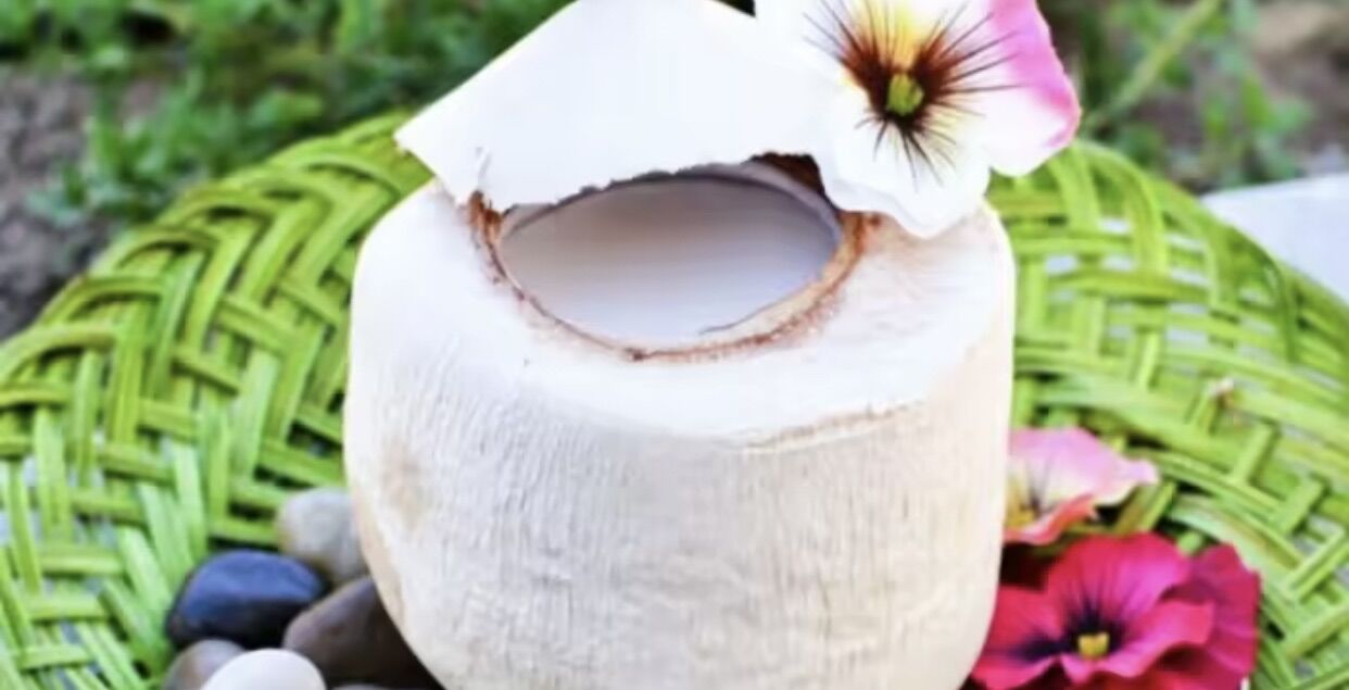 Bột rau câu trái dừa Dragon - Gói 10g