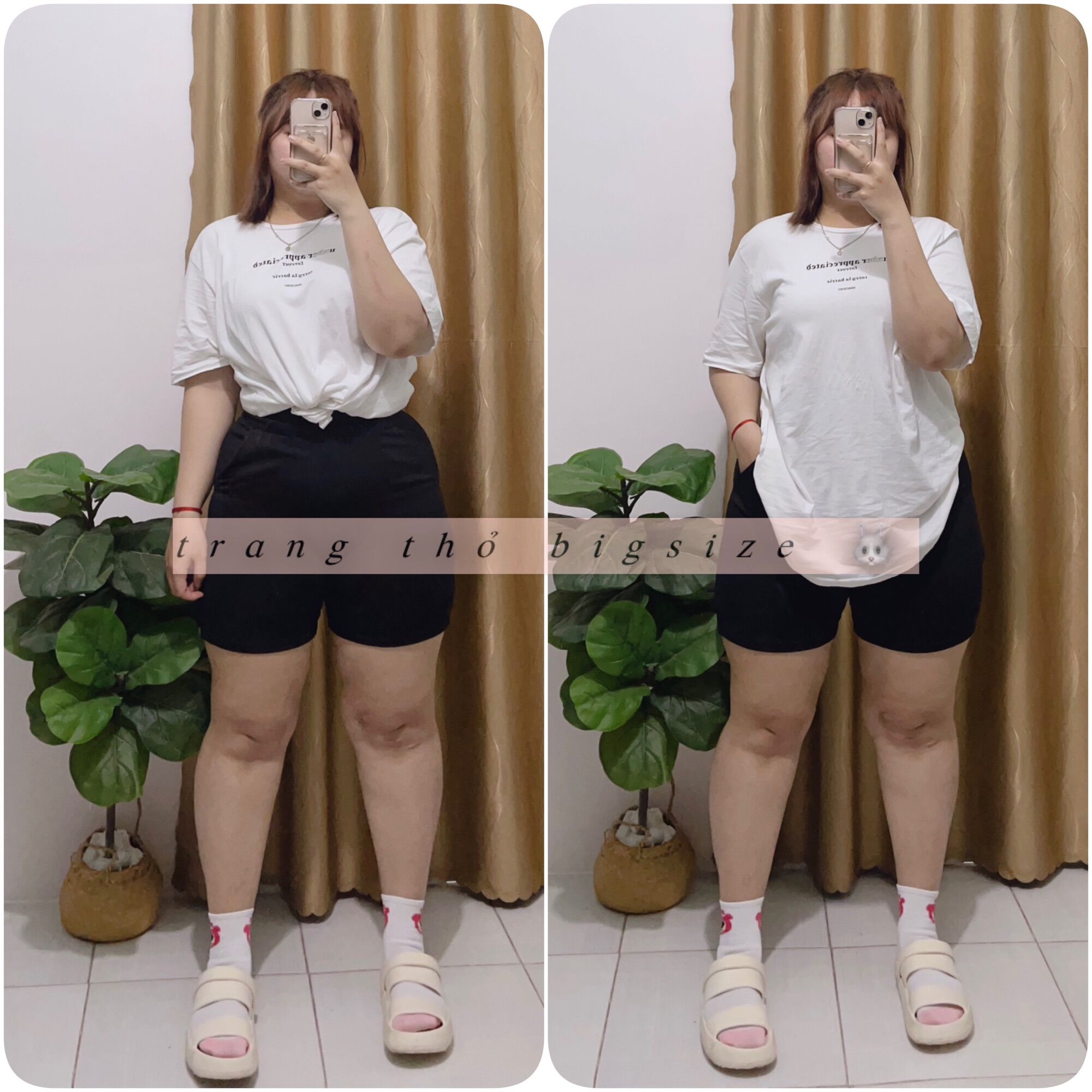 Quần ngố thun bigsize 60-100kg