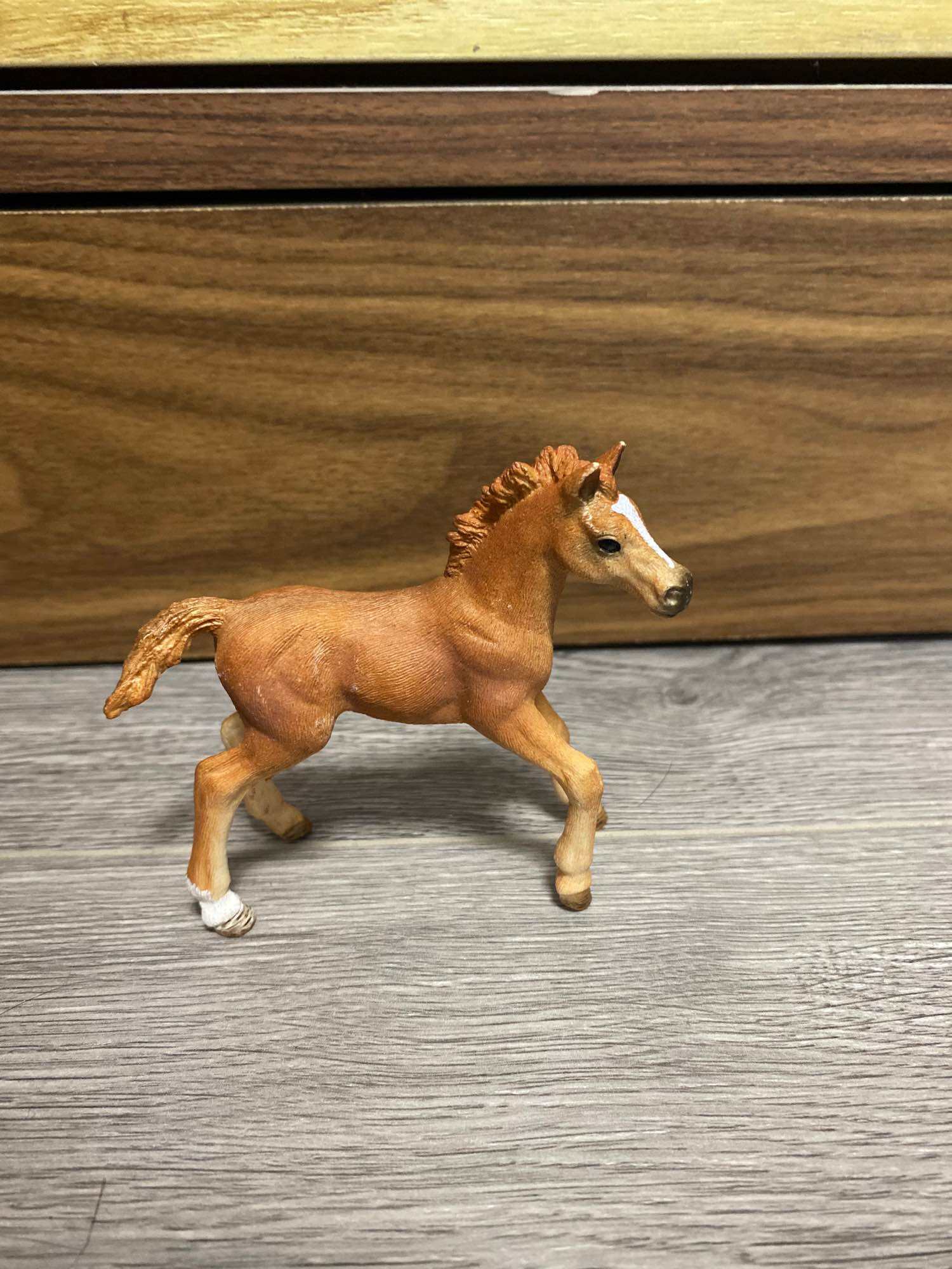 Mô hình đồ chơi động vật safari Ngựa nhỏ chính hãng Schleich