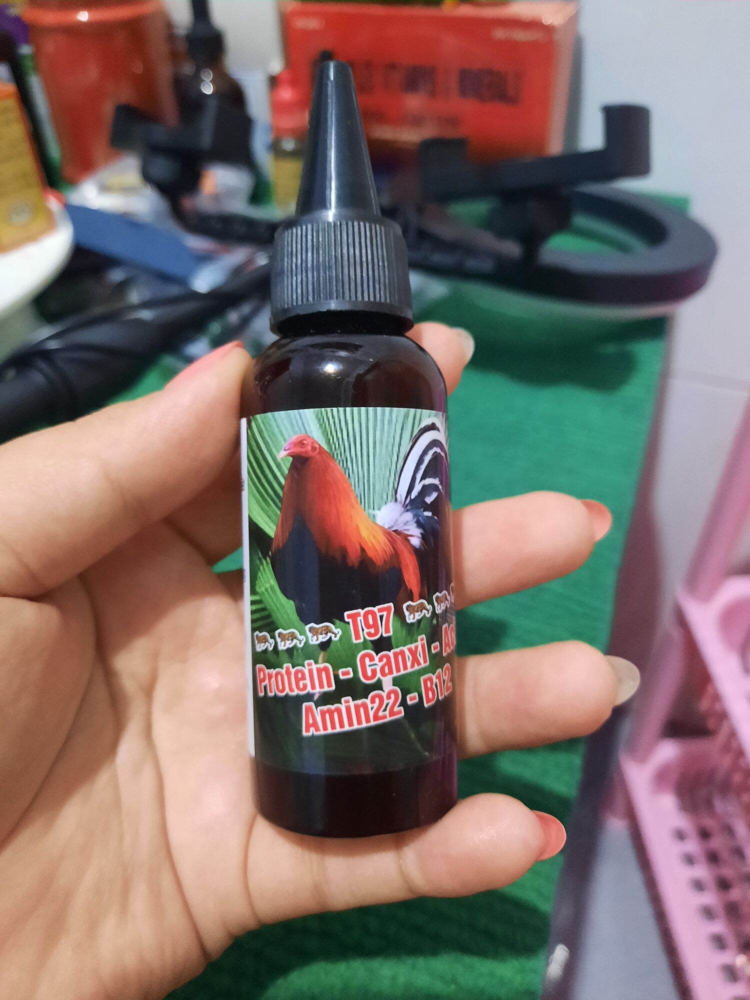 T97 nuôi hừng gà