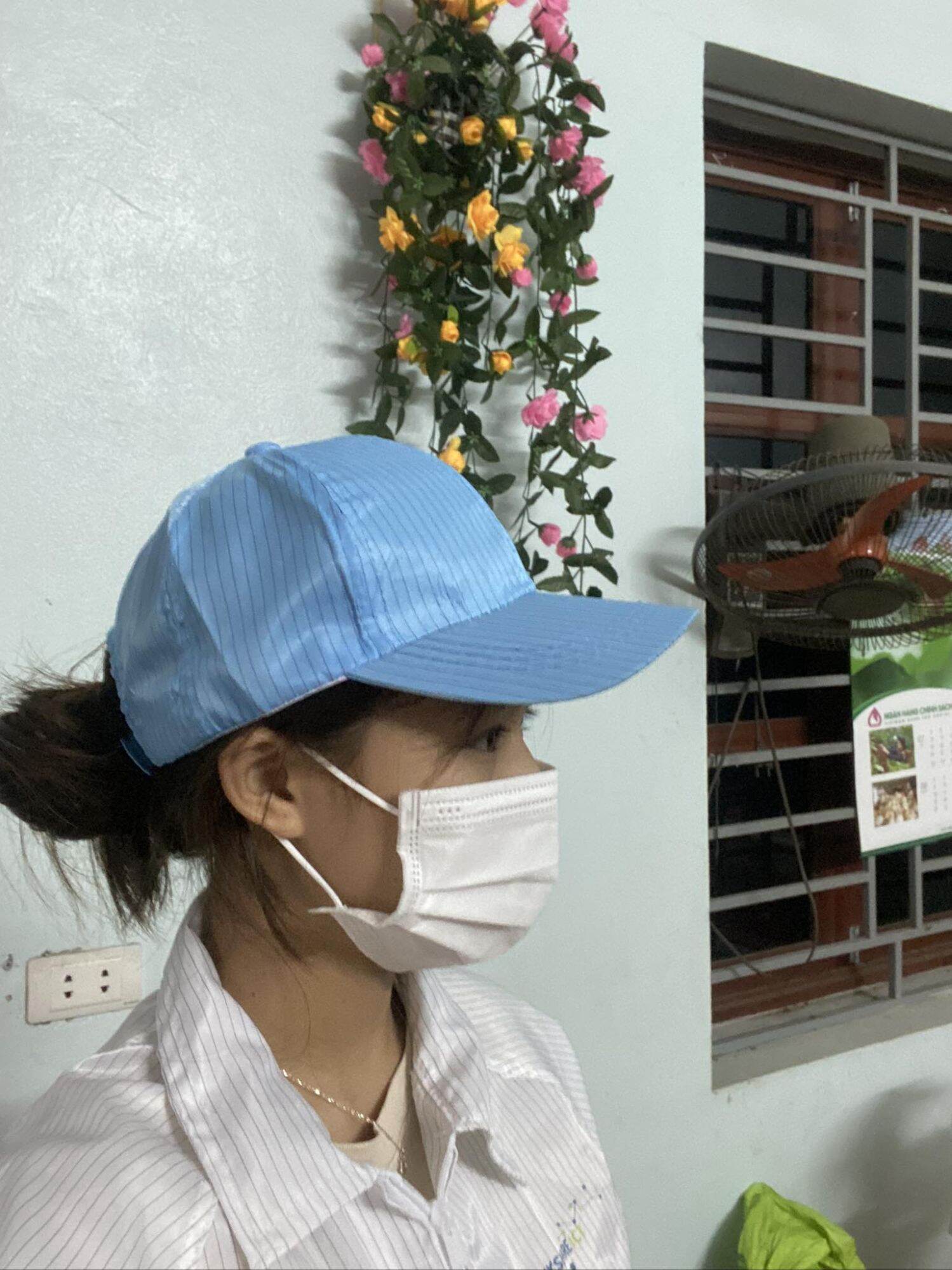 Combo 10 mũ lưỡi trai tĩnh điện phòng sạch kẻ sọc
